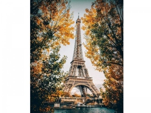 Картина по номерам с цветной схемой на холсте 30х40 Париж. Эйфелева башня (16 цветов)