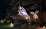 Радиоуправляемый самолет E-flite UMX Night Vapor RTF с технологией SAFE