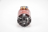 SkyRC 1/10 TORO S60 Combo Set (1870KV Sensored)