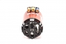 SkyRC 1/10 TORO S60 Combo Set (4000KV Sensored)