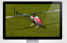Great Planes Real Flight 7.0 Mode 2