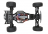 Модель багги ECX AMP DB (2WD)