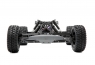 Модель багги ECX AMP DB (2WD)