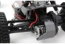 Модель багги ECX AMP DB (2WD)
