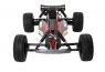 Модель багги ECX AMP DB (2WD)