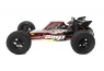 Модель багги ECX AMP DB (2WD)
