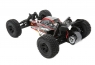 Модель багги ECX AMP DB (2WD)