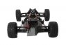 Модель багги ECX AMP DB (2WD)
