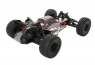 Модель багги ECX AMP DB (2WD)
