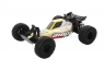 Модель багги ECX AMP DB (2WD)