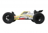 Модель багги ECX AMP DB (2WD)