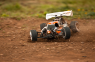 Модель багги HPI Pulse 4.6 4WD 2.4Ghz