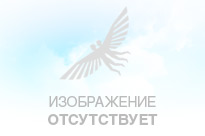 Фонари PGYTECH для DJI MAVIC AIR P-UN-002