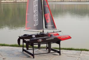 Force2 65 Twin hull 660mm sailboat 2.4GHz RTR JS8806