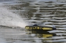 Радиоуправляемый катер ProBoat Impulse 31 V3 Brushless RTR PRB08008