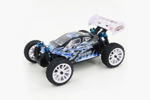 1:16 EP 4WD Off Road Buggy (Brushed, Ni-Mh)