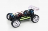 1:16 EP 4WD Off Road Buggy (Brushed, Ni-Mh)