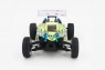 1:16 EP 4WD Off Road Buggy (Brushed, Ni-Mh)