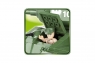 T34
